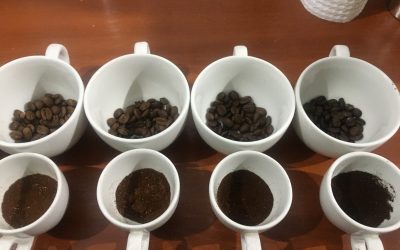 Why Q grader is such a special title in specialty coffee