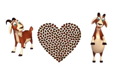 What do goats and coffee have in common?